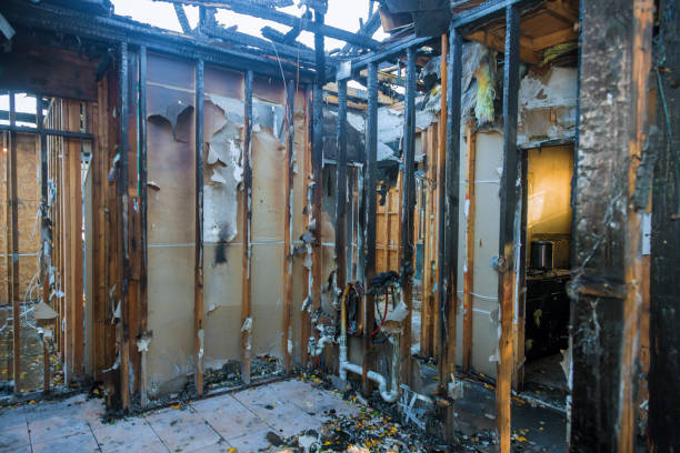 Professional Fire Damage Repair technician working in Morton, WA